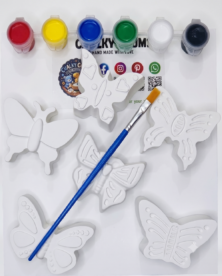 Butterfly Painting Kit