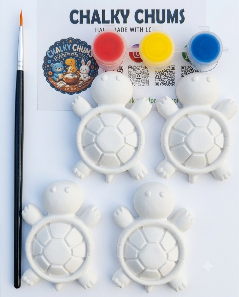 Mini Turtle Painting Kit